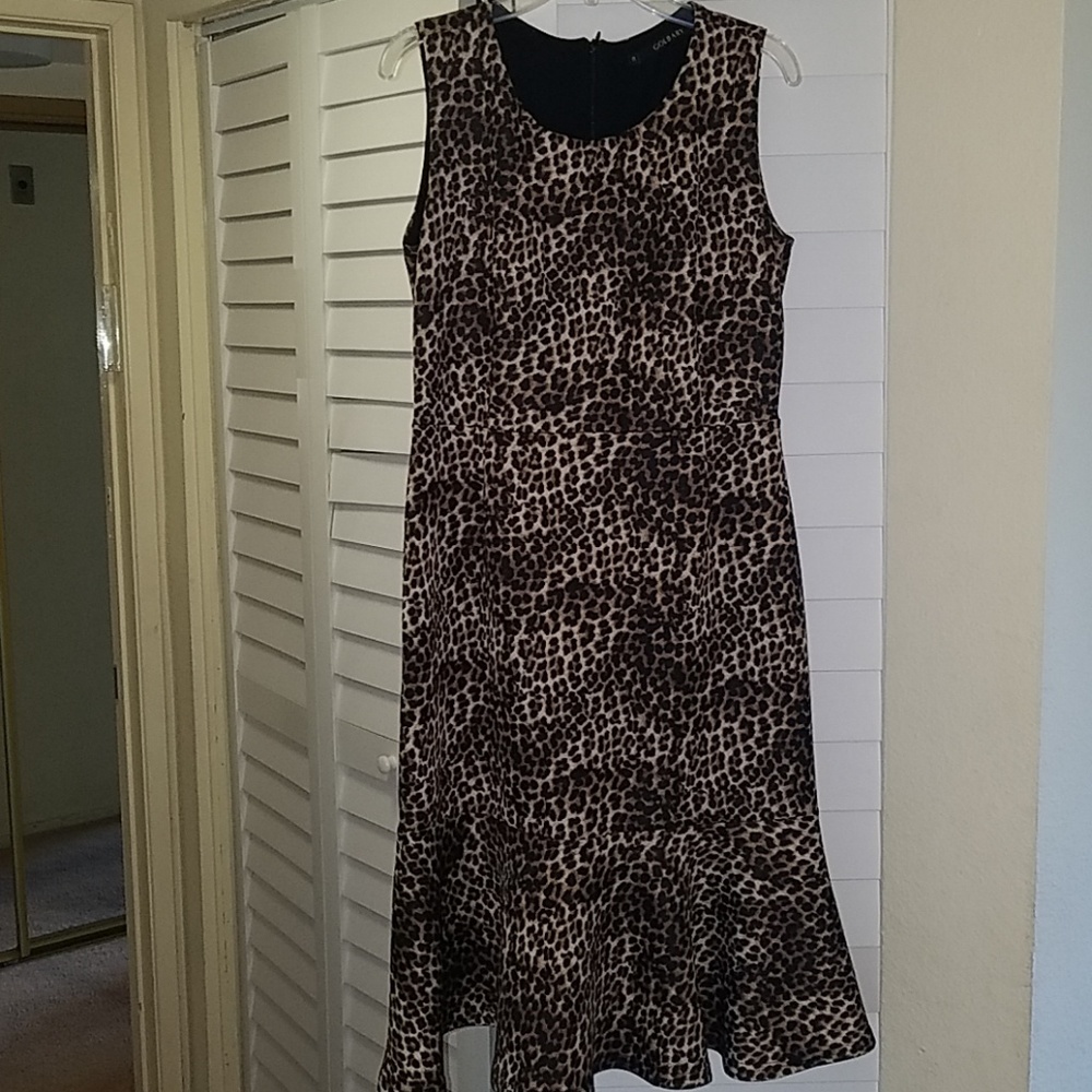 Brand new dress with no Tag